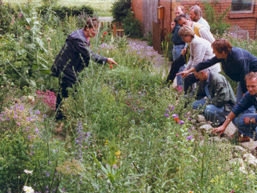 Eine Gruppe von Personen im Naturgarten mit Wildpflanzen.