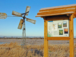 Eine Holztafel mit Informationen und ein kleines Windrad.